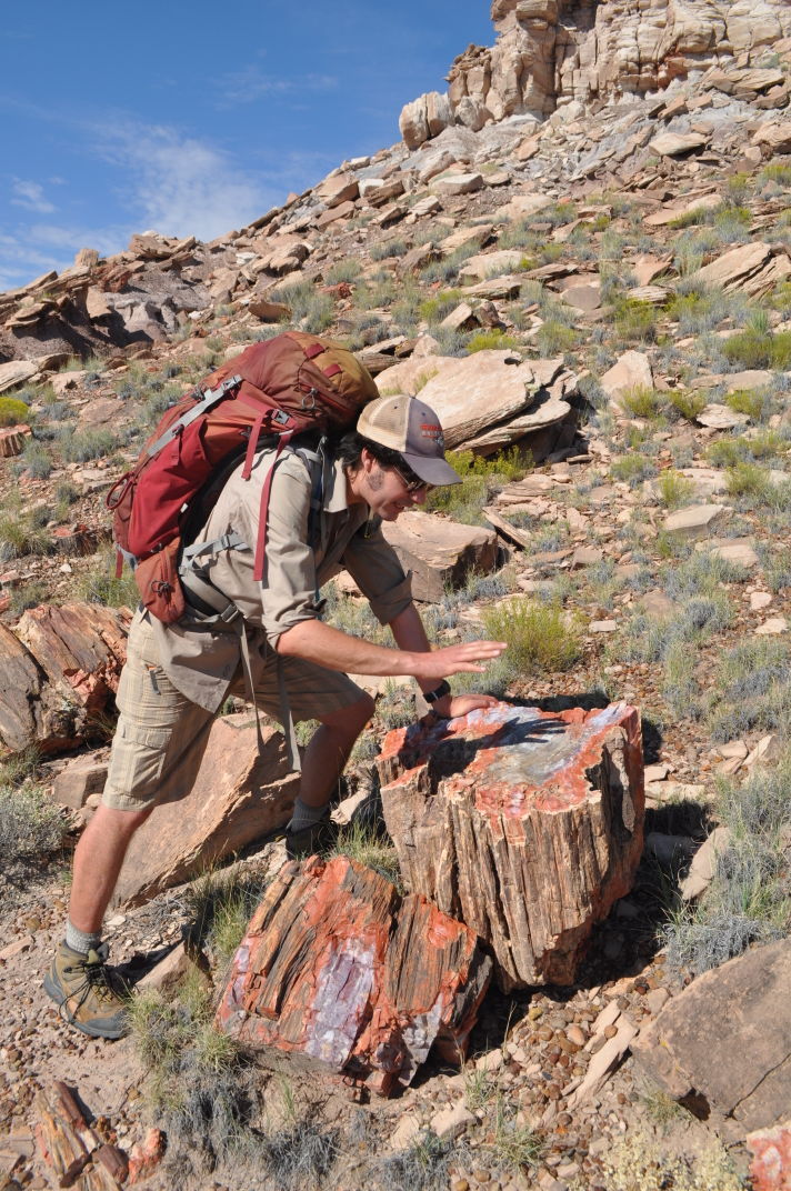 Petrified Forest Field Institute
